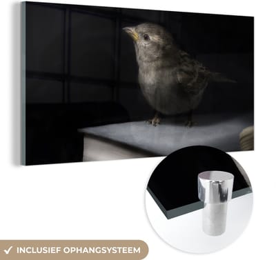 MuchoWow® Glasschilderij 40x20 cm - Schilderij acrylglas - Vogel - Boeken - Portret - Foto op glas - Schilderijen