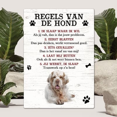 Spreuken - Clumber Spaniel - Regels Van De Hond - Spreuken Bordjes - Spreukenbord - Tekstborden - Cadeau - Hondenras