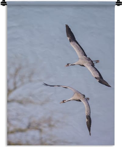 Wandkleed Europese kraanvogel - Twee Europese kraanvogels vliegen in de lucht Wandkleed katoen 90x120 cm - Wandtapijt met foto