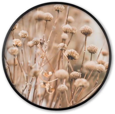 Poster in lijst Rond - Fotolijst 60x60 cm - Posters - Droogbloemen - Beige - Bloemen - Natuur - Ronde posterlijst zwart - Decoratie - Wanddecoratie woonkamer - Muurdecoratie slaapkamer