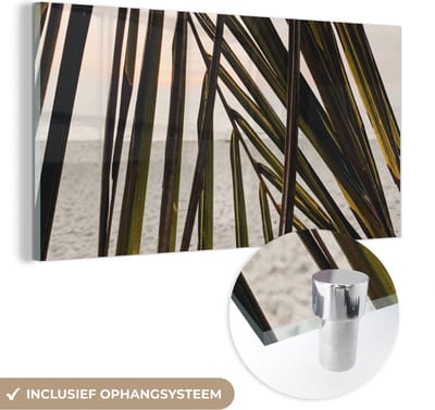 MuchoWow® Glasschilderij 120x60 cm - Schilderij acrylglas - Palmblad - Zomer - Strand - Foto op glas - Schilderijen