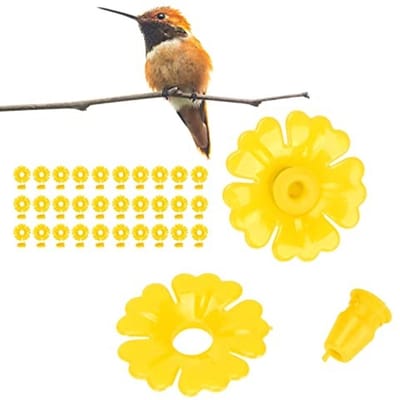 Dailygoods- Vogelvoederbak 30 Stuks - Vervangende Onderdelen - Hangende Vogelbadkom - Kunststof - Eenvoudige Installatie - Geschikt voor Kolibrievoeders - Kolibrievoeder