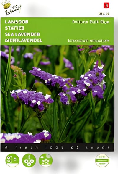 Buzzy - Zaden limonium lamsoor fortune dark blue 0.2 gram