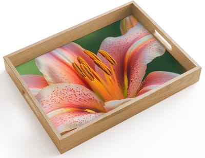 Dienblad hout 40x30 cm - Schootdienblad - Lelie - Close up - Lichtroze - Borrelplank rechthoek - Plateau dienbladen