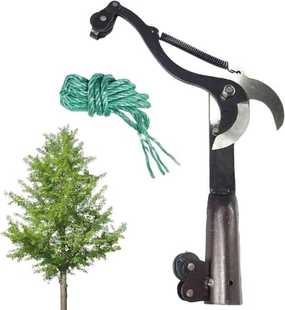 Takkenknipper - Snoeischaar Trimmer - Tuinonderhoud - Dubbel katrolontwerp - 30x23cm - Zwart