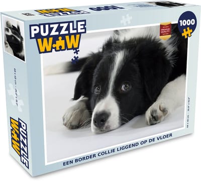 Puzzel Een border collie liggend op de vloer - Legpuzzel - Puzzel 1000 stukjes volwassenen