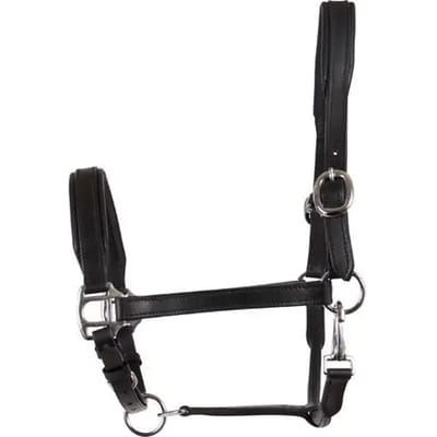 Leren halster voor paarden HorseGuard