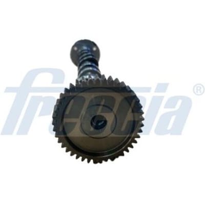 Nokkenas  FRECCIA CM05-2378