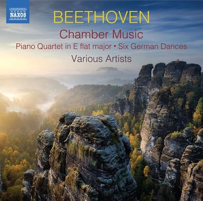 Rodney Dorsey - Beethoven: Chamber Music (2 CD)
