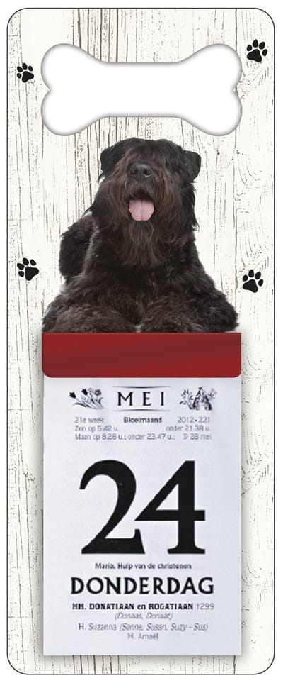 Scheurkalender 2027 Hond: Bouvier