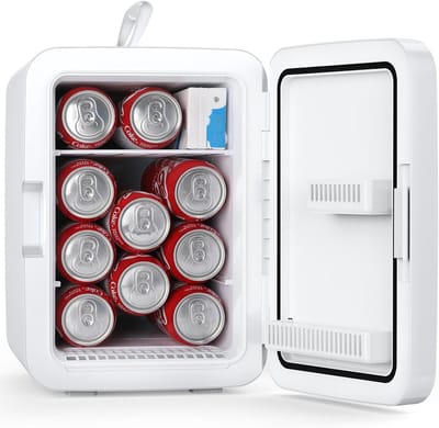 Draagbare Mini Koelkast 10L voor Dranken en Cosmetica met AC/DC