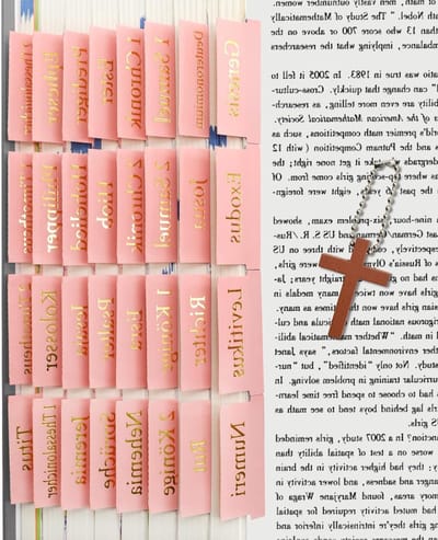 Bijbelregister voor vrouwen - Studeren, journaling en accessoires met 96 tabs in groot lettertype, roze en gelamineerd