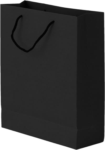 Set van 10 Versterkte Papieren Tassen met Handvat, Cadeautassen, Kraft Papieren Tassen voor Voeding en Winkelen, Zwart, 28 cm