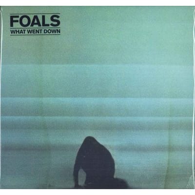 LP Plaat FOALS - What Went Down 0825646075034 Transgressive R 2015 VK Rock