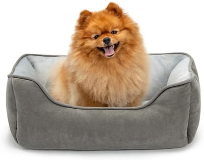 Famanu – Omkeerbaar Honden- en Kattenbed – 2-in-1 Huisdierbed met Comfortabele Instap, Afmeting 60 x 50 cm