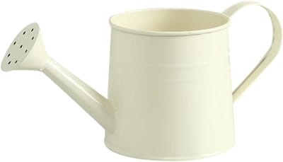 Gieter met Lange Uitloop - Waterkan Planten - Planten Water Geven - Robuuste IJzeren Constructie - 1 Liter - Beige