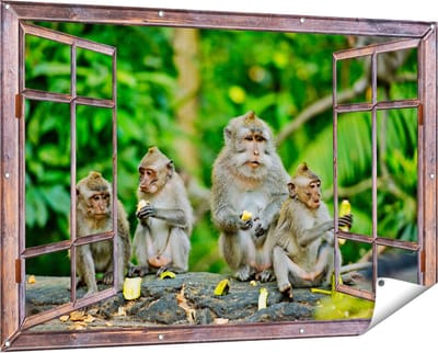 Gards Tuinposter Doorkijk Groep Apen Eten Bananen in het Bos - 150x100 cm - Tuindoek - Tuindecoratie - Wanddecoratie buiten - Tuinschilderij