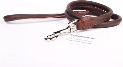 Dog's Companion - Leren Hondenriem - Lengte: 180 cm x 12 mm - Bruin