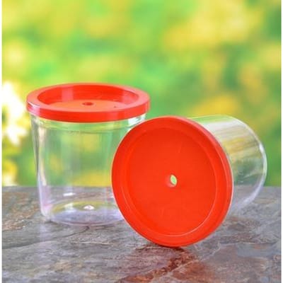 Kijkbakje Insectenkooi Insectendoosje Insectenbakje Insectenvanger Kooi Wetenschap Natuur Verkenning Gereedschap Deksel Insectenvanger Voor Kinderen white
