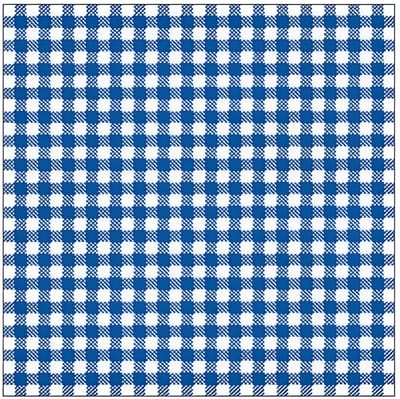 Ambiente Servetten - geruit/ruitjes - blauw/wit - 20x stuks - 3-laags - feestartikelen party bbq servetten