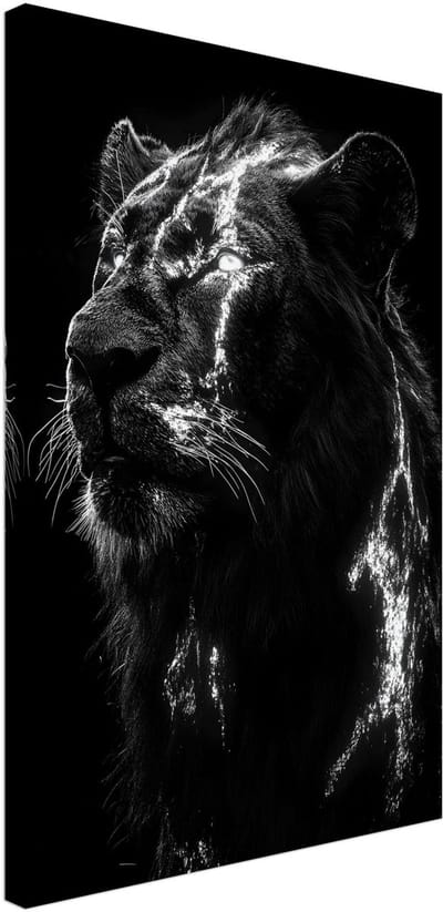 Canvas Schilderij - Lion portrait 40x60 cm - Dieren Wanddecoratie Woonkamer & Slaapkamer
