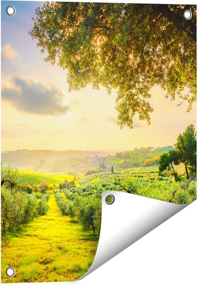 Gards Tuinposter Olijvenbomen - Olijvengaard - 40x50 cm - Tuindoek - Tuindecoratie - Wanddecoratie buiten - Tuinschilderij