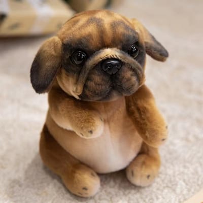 Lieve Knuffeldieren Knuffel Poedel Mopshond Schattige Pluizige Simulatie Puppy Pluche Speelgoed Zittend Realistische Pluche Hond Pop Kamer Decoratie