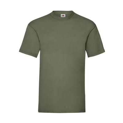 Fruit of the Loom Unisex Adult Waardevol T-Shirt (Klassieke Olijf)