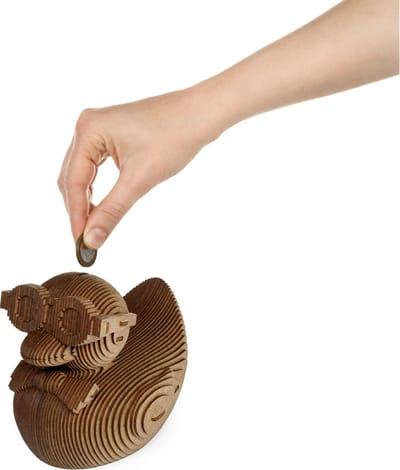 Eco Wood Art Modelbouwpakket Spaarpot Eend - 3D Puzzel - Bouwpakket Volwassenen - DIY - Hout