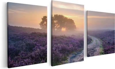 Artaza Canvas Schilderij Drieluik Pad in de Weide van de Veluwe - 120x60 - Foto Op Canvas - Canvas Print