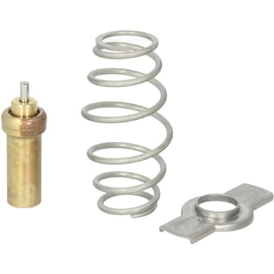 Thermostaat, koelvloeistof THERMOTEC D2IV006TT