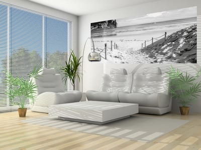 Beach Path Nature Sea SandCliff Photo Wallcovering