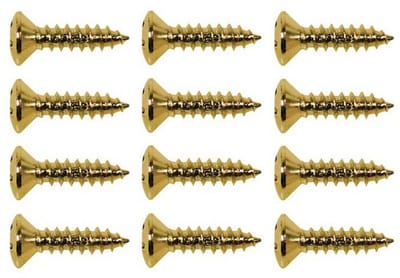 Boston TS-01-G Gouden Verzonken Schroeven voor Pickguard - 3x12mm (12 stuks)