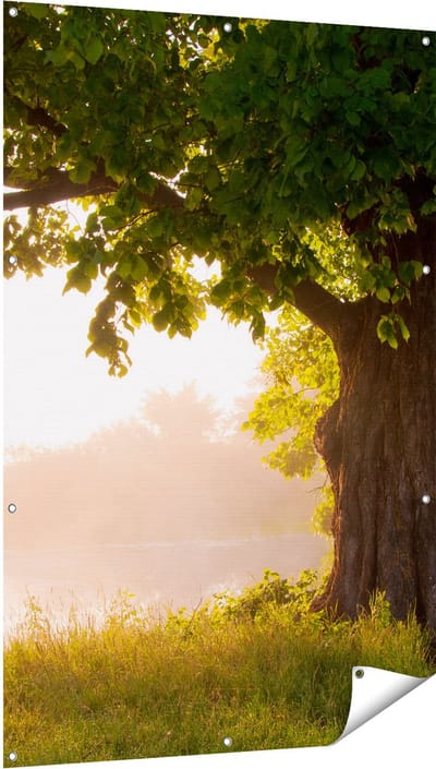 Gards Tuinposter Eikenboom aan het Water met Volle Bladeren - 100x150 cm - Tuindoek - Tuindecoratie - Wanddecoratie buiten - Tuinschilderij