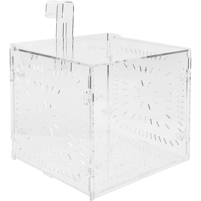 Isolatiekweekbak Zaailingen Incubatie Reproductie voor Vissenkom Aquarium(15x15x15cm) white