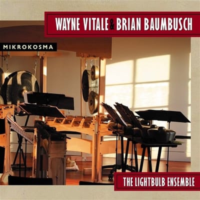 The Lightbulb Ensemble - Wayne Vitale & Brian Baumbusch: Mikrokosma (CD)