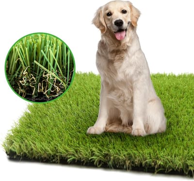 Zindelijkheidstraining Hondenplasmat Kunstgras voor Puppy Binnen Buiten A0,5 x 2,4 m