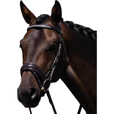 Anatomische paardrijdbride Premier Equine Castello