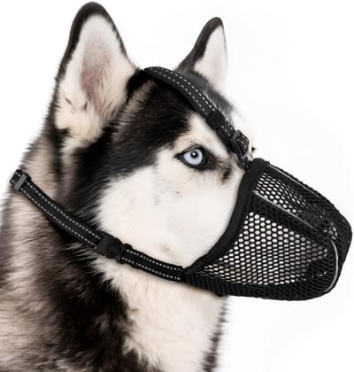 Honden Muilkorf - Zachte Netmuilkorf - Veilig Uitlaten - Ademend Lichtgewicht - Verstelbaar - Zwart