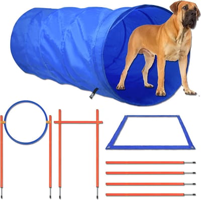 ACXIN Honden Agility Uitrusting – Hindernissen Combinatie – Slalomstangen, Sprongring, Hoogspringstang & Hondentunnel – Instelbaar – Coördinatietraining