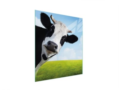 TMK ArtDeko - Snijplank - 45x52 cm - Kleur Krowa - Glas