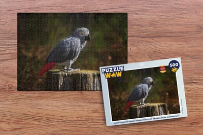 Puzzel Schitterende grijze roodstaart op afgezaagde boomstam - Legpuzzel - Puzzel 500 stukjes