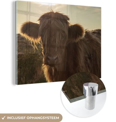 MuchoWow® Glasschilderij 160x120 cm - Schilderij acrylglas - Schotse Hooglander - Zonsondergang - Gras - Foto op glas - Schilderijen