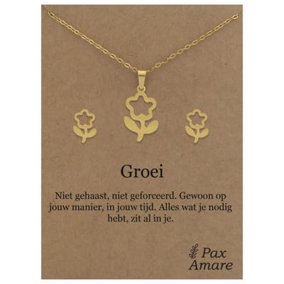 Stainless Steel Bloem Ketting + Oorbellen Setje op Cadeau Kaartje - Groei - 45 cm ketting & ± 10x10mm Oorknopjes - Zilverkleurig Roestvrij Staal - Pax Amare