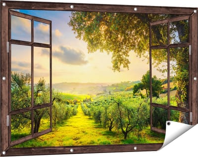 Gards Tuinposter Doorkijk Olijvenbomen - Olijvengaard - 120x80 cm - Tuindoek - Tuindecoratie - Wanddecoratie buiten - Tuinschilderij