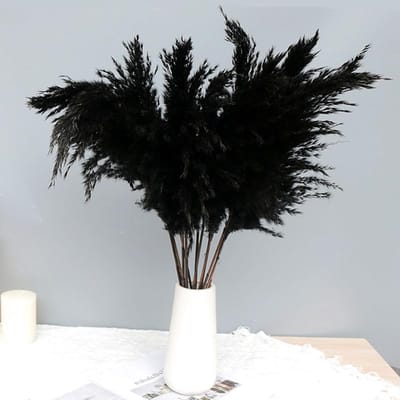 Droogboeket Pampasgras - Gedroogde Planten - Feestelijke Decoratie - Natuurlijke Materialen Mix - 45 cm Lengte - Zwart