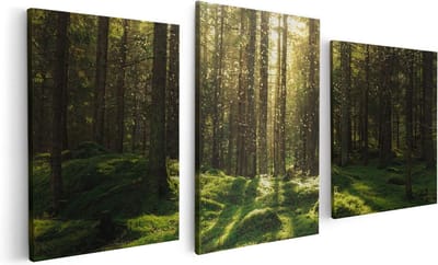 Artaza Canvas Schilderij Drieluik Bos met Groen Mos op de Grond - 120x60 - Foto Op Canvas - Canvas Print