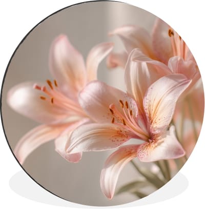 WallCircle - Wandcirkel - Muurcirkel - Lelies - Meeldraden - Roze - Wazig - Aluminium - Dibond - 30x30 cm - Binnen en Buiten