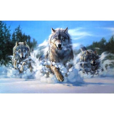 Diamant borduurwerk wolf in de sneeuw schilderijen kristal 5D kruissteek diamant schilderij dieren home decor geschenken 20X30CM blue