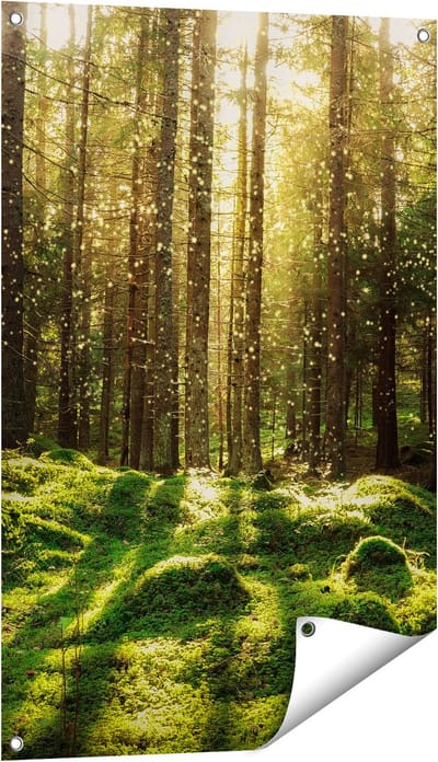 Gards Tuinposter Bos met Groen Mos op de Grond - 60x90 cm - Tuindoek - Tuindecoratie - Wanddecoratie buiten - Tuinschilderij